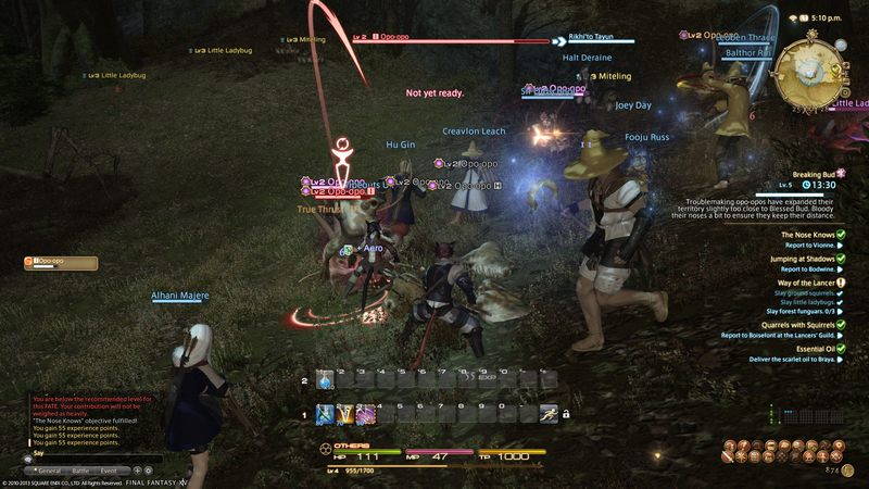 Illustration for article titled A photo-adventure through FFXIV: A Realm Reborn's Open Beta Weekend
